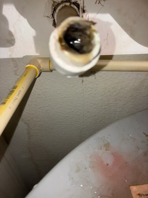 AC Drain Line Clogs in Florida Summer: The $5 Fix Every Homeowner Should Know